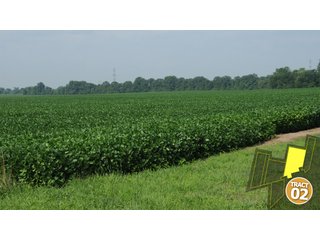 Property photo 17 - 470 Acres Mostly Productive Tillable Land - 6 Tracts